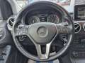 Mercedes-Benz B 250 Aut Bi-Xenon Tempo Memory Argent - thumbnail 11