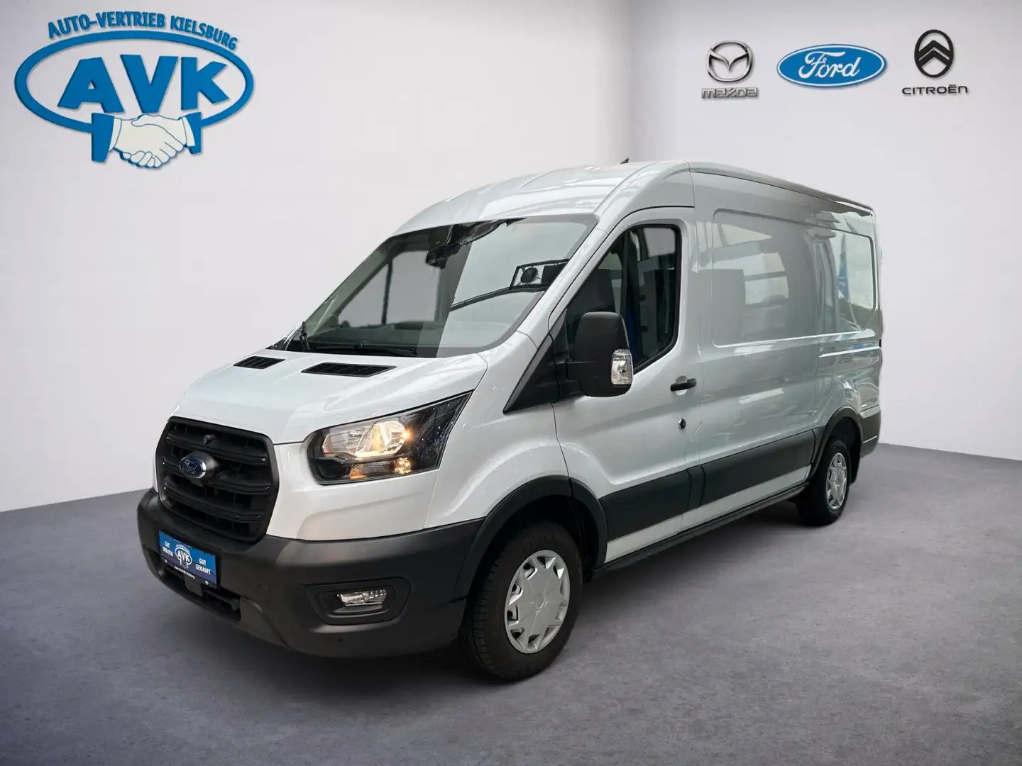 Ford Transit Kasten 310 L2 Trend Regalsysteme, Kamera Weiß - 2