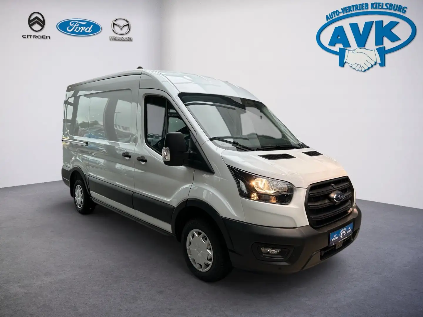Ford Transit Kasten 310 L2 Trend Regalsysteme, Kamera Weiß - 1