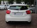 Mercedes-Benz A 180 CDI 2.Hd*Navi*Bi-Xenon*SHZ*PDCv+h*8-fach Білий - thumbnail 5