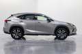 Lexus NX 300 300h Premium 2WD Gris - thumbnail 7