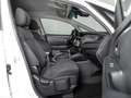 Kia Carens 1.6 Wit - thumbnail 25