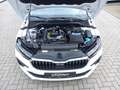 Skoda Scala 1.0 TSI Neues Modell 2024 Sofort lieferb Weiß - thumbnail 15