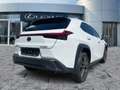 Lexus UX 300h F Sport Design Navi*ACC*KAM*SHZ*DAB Weiß - thumbnail 6