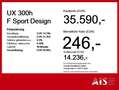 Lexus UX 300h F Sport Design Navi*ACC*KAM*SHZ*DAB Weiß - thumbnail 4