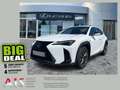 Lexus UX 300h F Sport Design Navi*ACC*KAM*SHZ*DAB Weiß - thumbnail 1