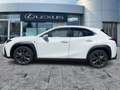 Lexus UX 300h F Sport Design Navi*ACC*KAM*SHZ*DAB Weiß - thumbnail 3