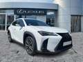 Lexus UX 300h F Sport Design Navi*ACC*KAM*SHZ*DAB Weiß - thumbnail 7