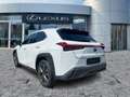 Lexus UX 300h F Sport Design Navi*ACC*KAM*SHZ*DAB Weiß - thumbnail 5