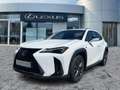 Lexus UX 300h F Sport Design Navi*ACC*KAM*SHZ*DAB Weiß - thumbnail 2