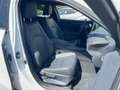 Lexus UX 300h F Sport Design Navi*ACC*KAM*SHZ*DAB Weiß - thumbnail 10