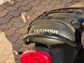 Triumph Street Twin 900 Verde - thumbnail 18