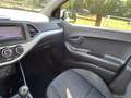 Kia Picanto 1.0 CVVT ISG Comfort Pack dealer ond. in prachtsta Wit - thumbnail 10