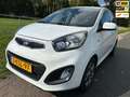 Kia Picanto 1.0 CVVT ISG Comfort Pack dealer ond. in prachtsta Wit - thumbnail 1