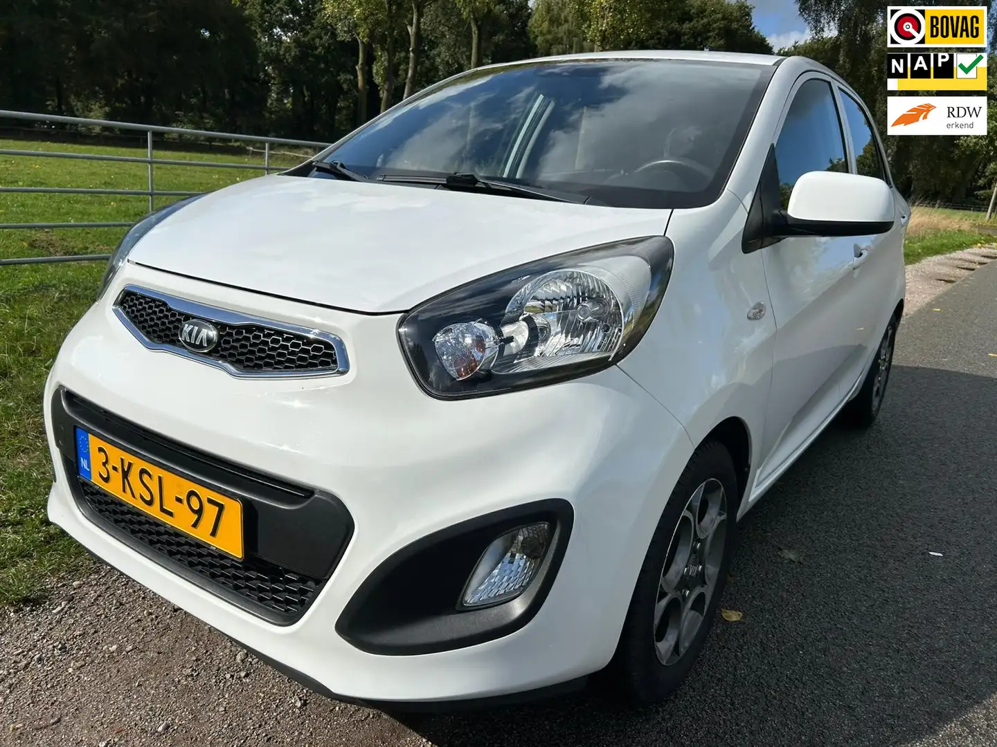 Kia Picanto 1.0 CVVT ISG Comfort Pack dealer ond. in prachtsta Wit - 1