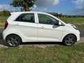 Kia Picanto 1.0 CVVT ISG Comfort Pack dealer ond. in prachtsta Wit - thumbnail 4
