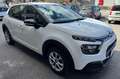 Citroen C3 C3 III 2017 1.5 bluehdi Feel s Bianco - thumbnail 3