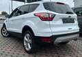 Ford Kuga KUGA TREND *FACELIFT*PDC-KLIMA-TEMPO-SHZ-LED-NR Weiß - thumbnail 4