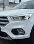 Ford Kuga KUGA TREND *FACELIFT*PDC-KLIMA-TEMPO-SHZ-LED-NR Weiß - thumbnail 45