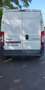 Citroen Jumper TOLE 35 L2H2 3.0 HDi 180 FAP CLUB - thumbnail 3
