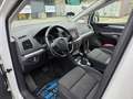 Volkswagen Sharan Business SCR 2,0 TDI DSG Weiß - thumbnail 15