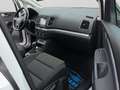 Volkswagen Sharan Business SCR 2,0 TDI DSG Weiß - thumbnail 21