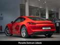 Porsche Cayman Indischrot 55.514 km ParkAssistent PDLS crvena - thumbnail 3