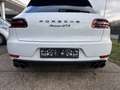 Porsche Macan GTS*ACC*PANORAMA*APPROVED*STANDHEIZUNG* Blanc - thumbnail 25