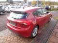 Ford Focus TITANIUM-Verkauf Nur An Export! -HU/AU: 08.2027 Rouge - thumbnail 4