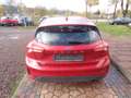 Ford Focus TITANIUM-Verkauf Nur An Export! -HU/AU: 08.2027 Rouge - thumbnail 5