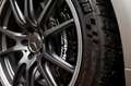 Mercedes-Benz AMG GT GT-R PRO | Designo | AMG Track Pakket | AMG Carbon Zilver - thumbnail 9