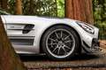 Mercedes-Benz AMG GT GT-R PRO | Designo | AMG Track Pakket | AMG Carbon Zilver - thumbnail 11