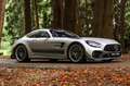 Mercedes-Benz AMG GT GT-R PRO | Designo | AMG Track Pakket | AMG Carbon Zilver - thumbnail 15