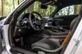Mercedes-Benz AMG GT GT-R PRO | Designo | AMG Track Pakket | AMG Carbon Zilver - thumbnail 20