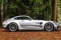 Mercedes-Benz AMG GT GT-R PRO | Designo | AMG Track Pakket | AMG Carbon Zilver - thumbnail 2