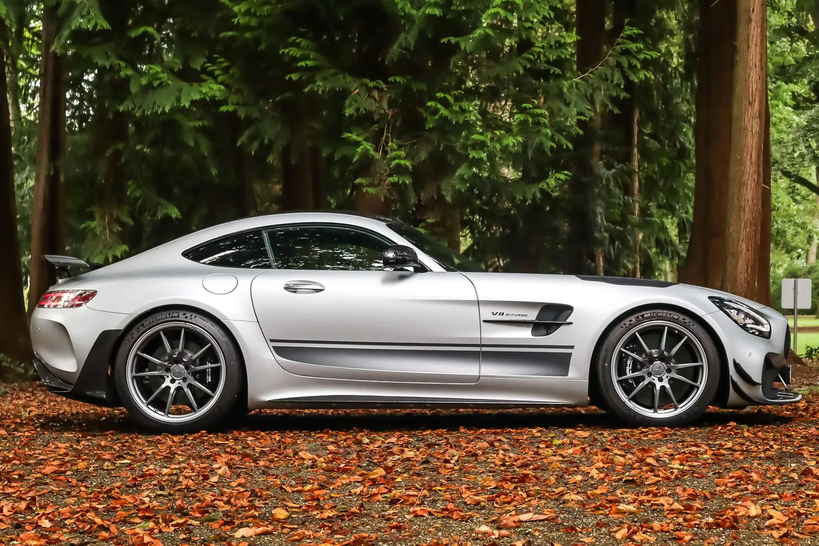 Mercedes-Benz AMG GT GT-R PRO | Designo | AMG Track Pakket | AMG Carbon Zilver - 2