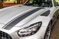 Mercedes-Benz AMG GT GT-R PRO | Designo | AMG Track Pakket | AMG Carbon Zilver - thumbnail 41