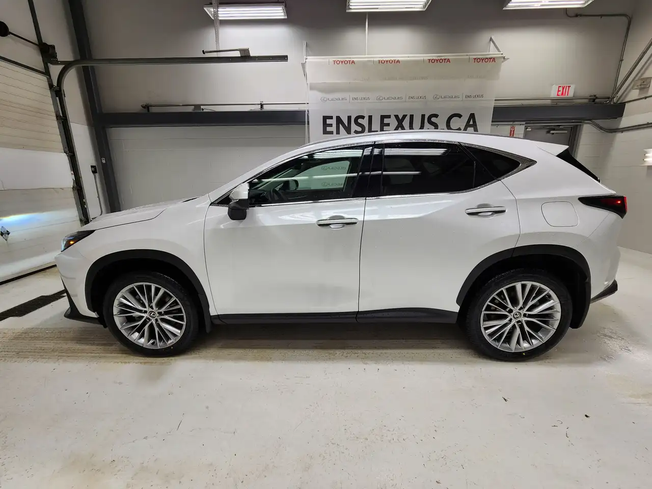 Lexus NX fotografie Lexus NX