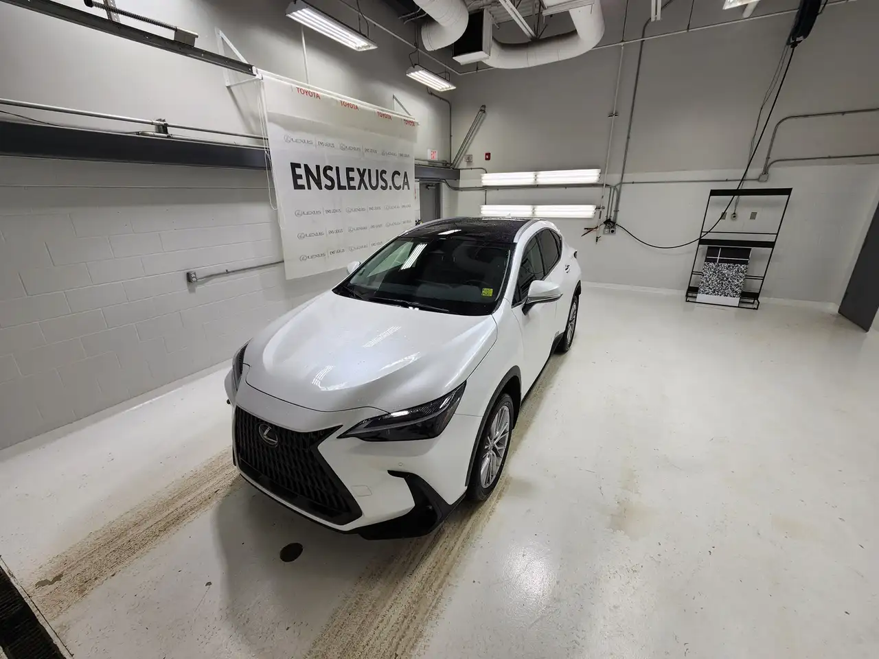 Lexus NX fotografie Lexus NX