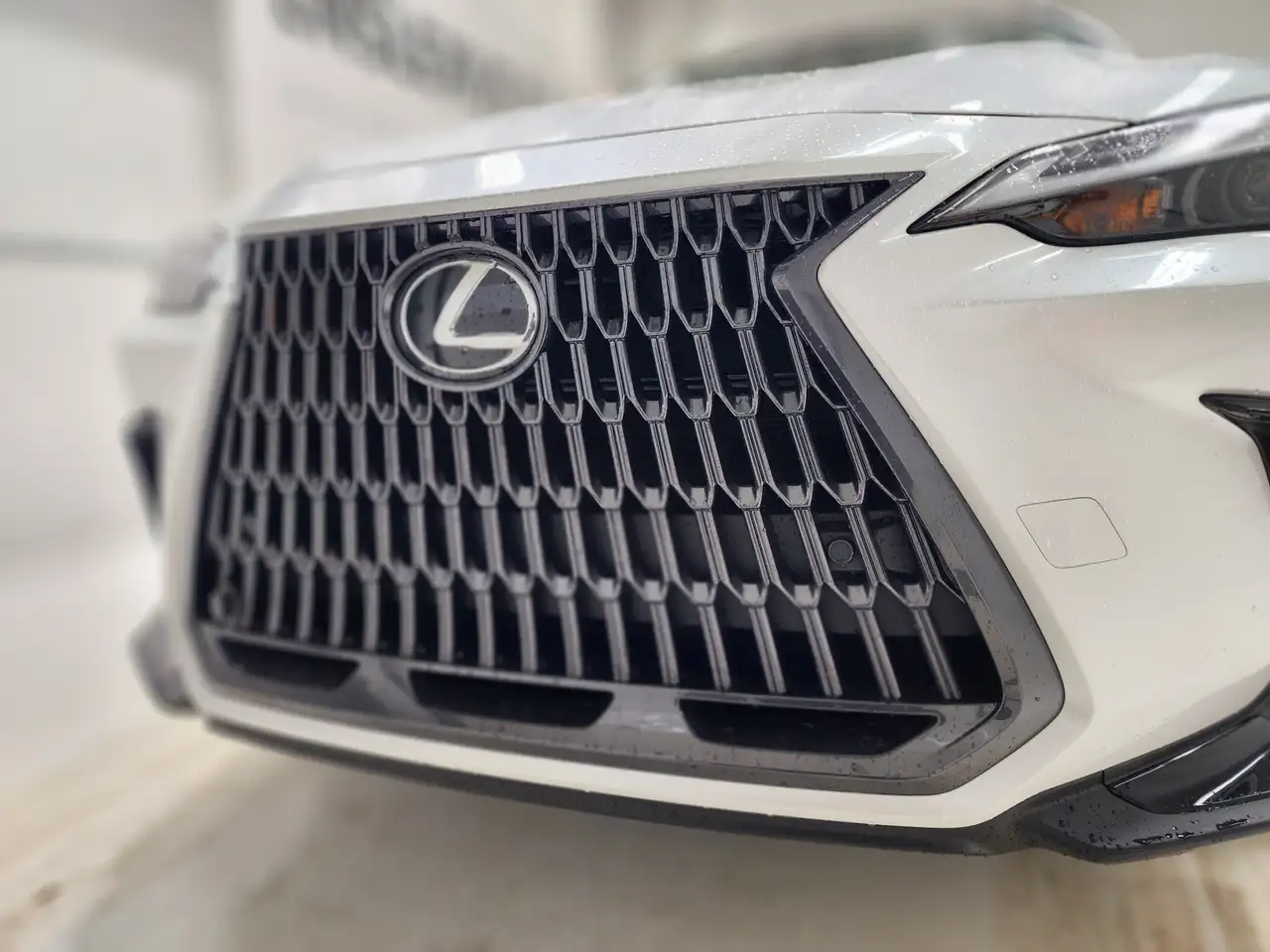 Lexus NX fotografie Lexus NX