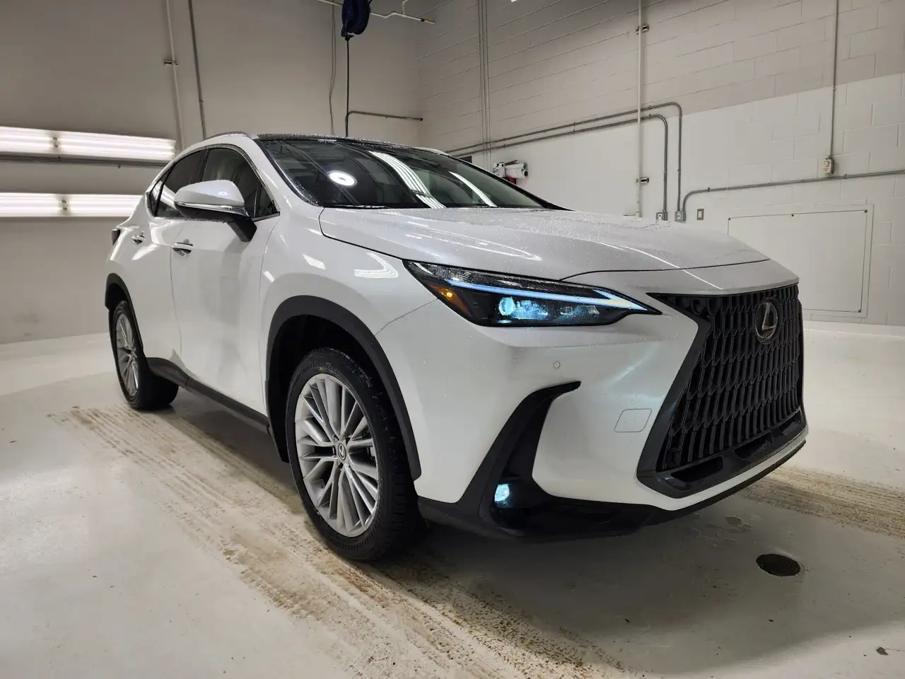 Lexus NX fotografie Lexus NX