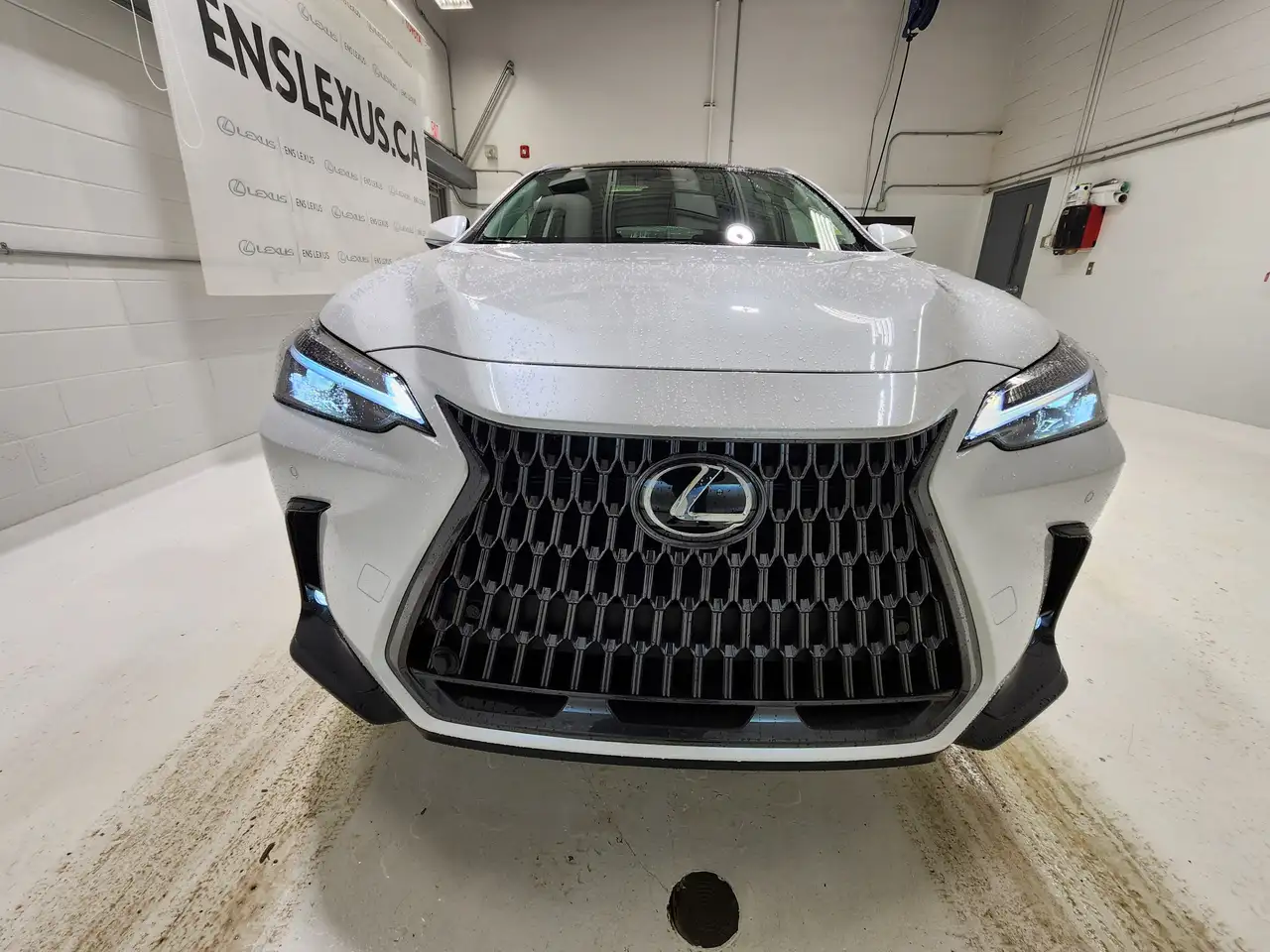Lexus NX fotografie Lexus NX