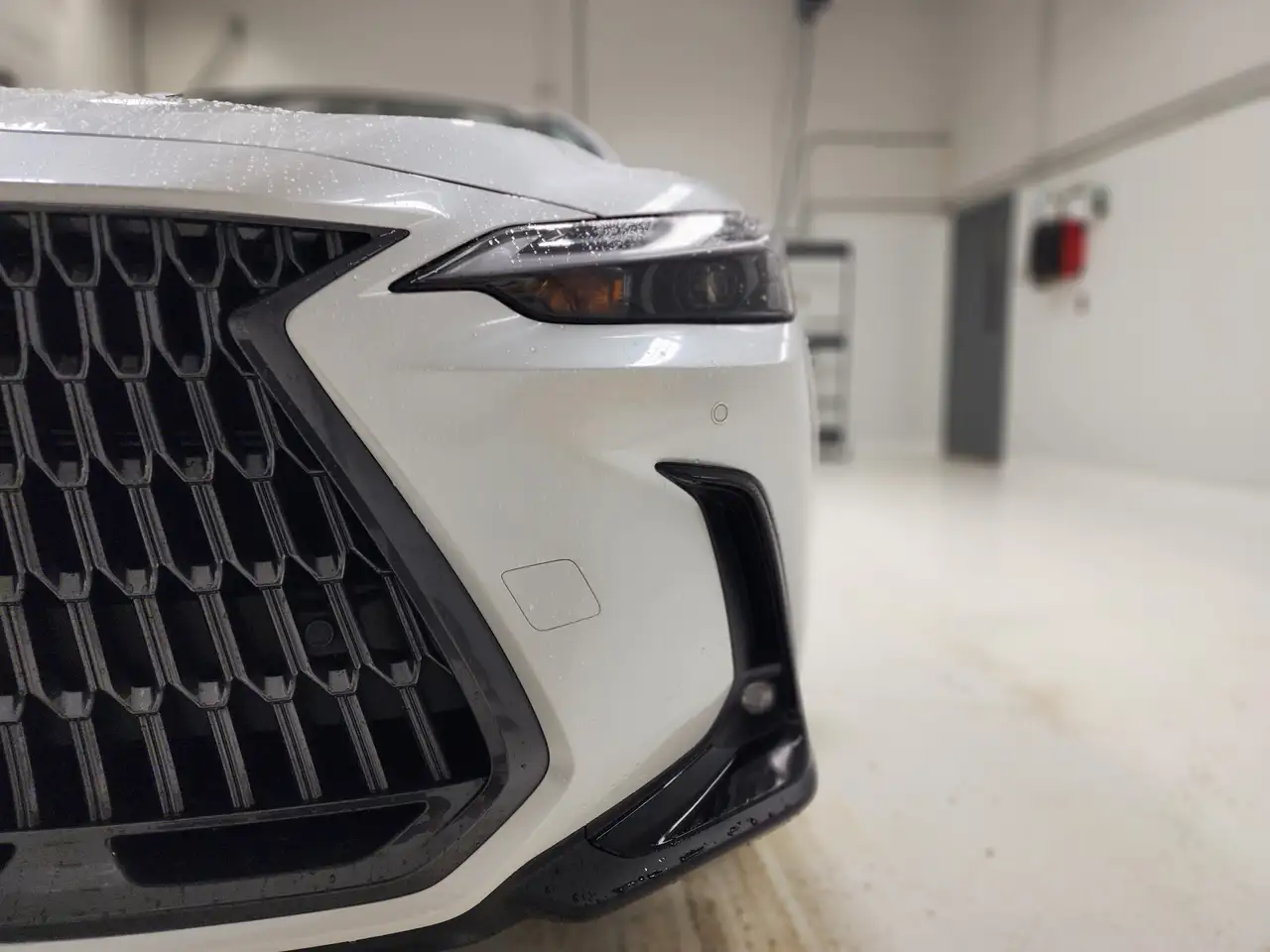 Lexus NX fotografie Lexus NX