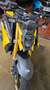 Suzuki GSX-S 1000 Dunlop Sonder Edition 2023 Jaune - thumbnail 15
