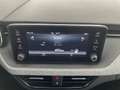 Skoda Kamiq Selection TSI DSG Blau - thumbnail 18
