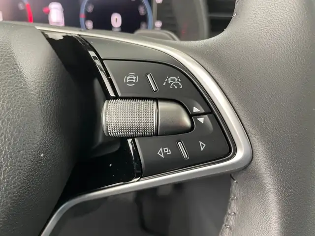 Skoda Kamiq view 15