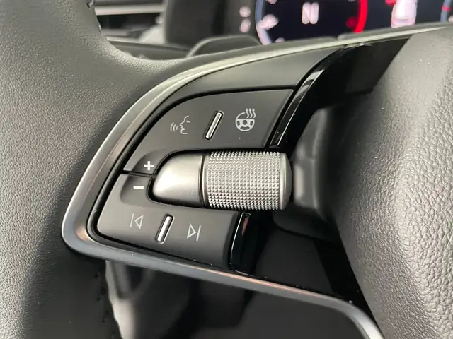 Skoda Kamiq view 14