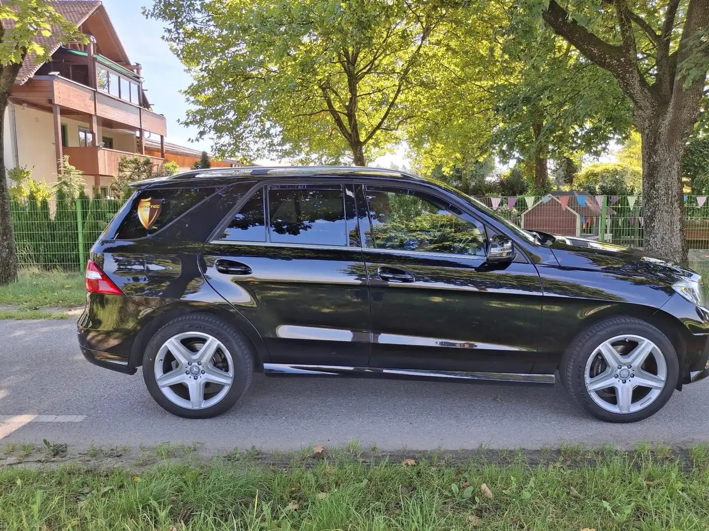 Mercedes-Benz ML 250 ML 250 CDI BlueTec (166.004) Schwarz - 2