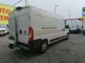 Fiat Ducato L3/H2-NETTO 20.750.-, LADEBORDWAND Weiß - thumbnail 4