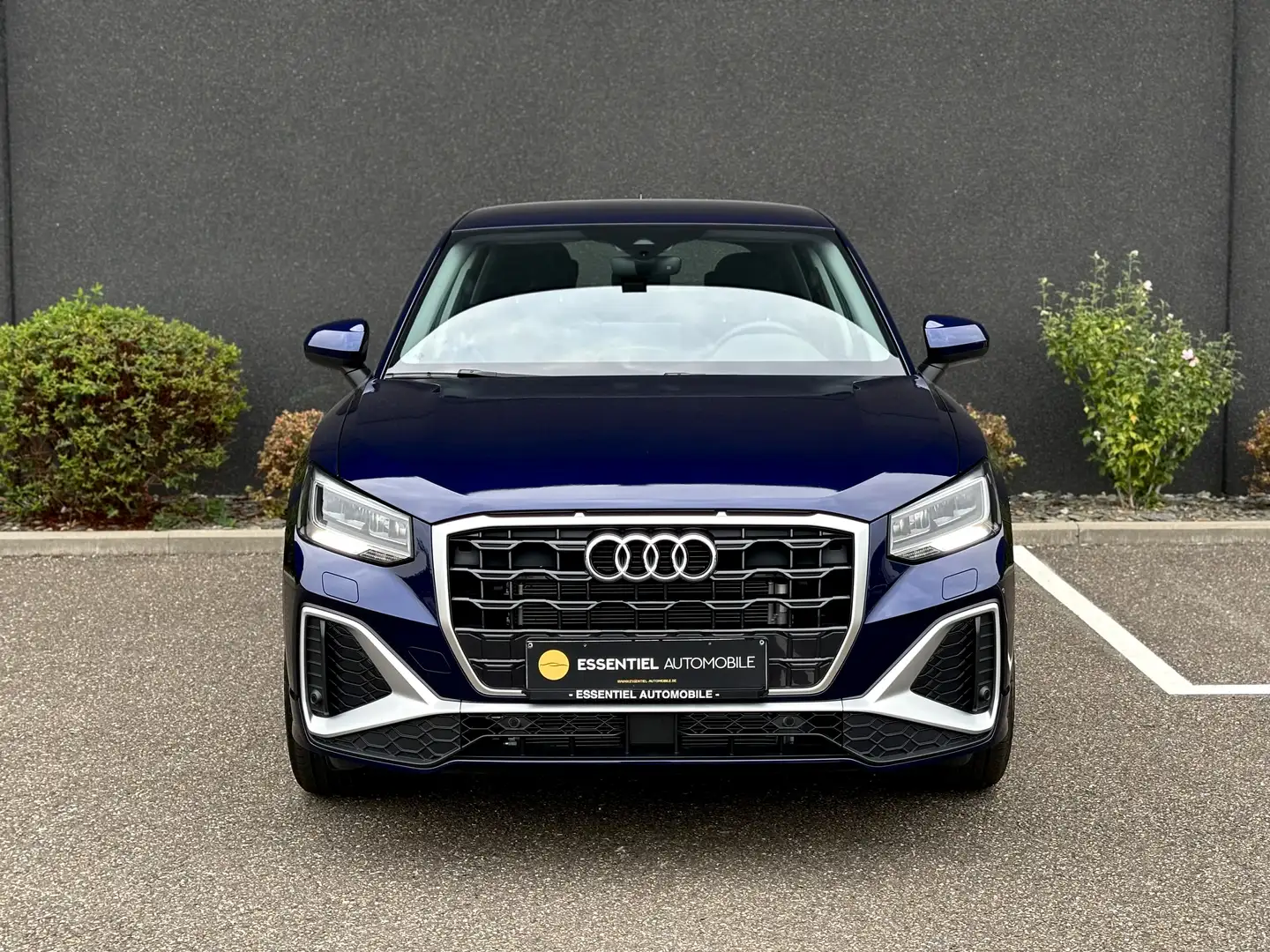 Audi Q2 Q2 35 TFSI S line S tronic - Bleu - 2